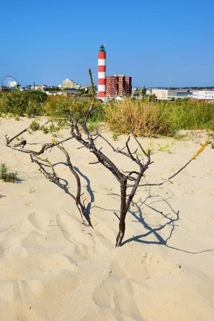 L'Alteia - L'Appartement Les Pieds Dans L'Eau Avec Place De Parking Prive Et Acces Direct A La Plage Berck Exterior foto